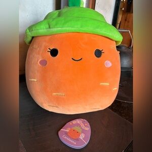 Caroleena Orange Plush Tag with Green Accent